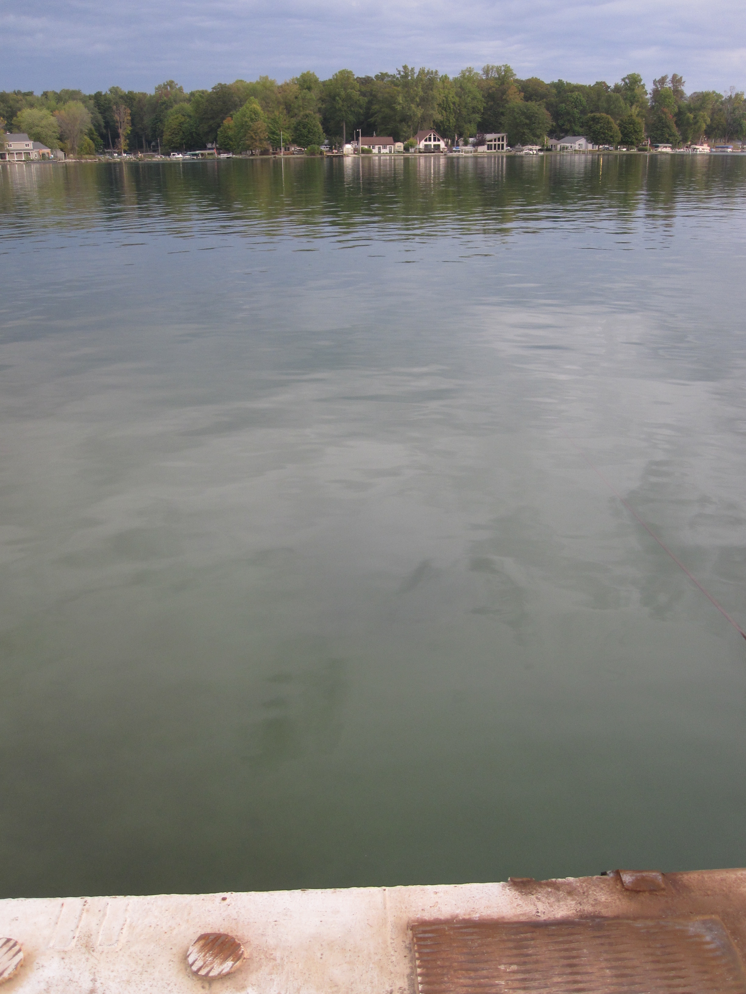 Race Report Diamond Lake Open Water Challenge (Cassopolis, MI) · Evan