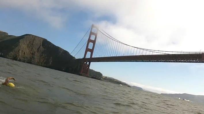 Swimming under the Golden Gate Bridge. Photo by Cathy