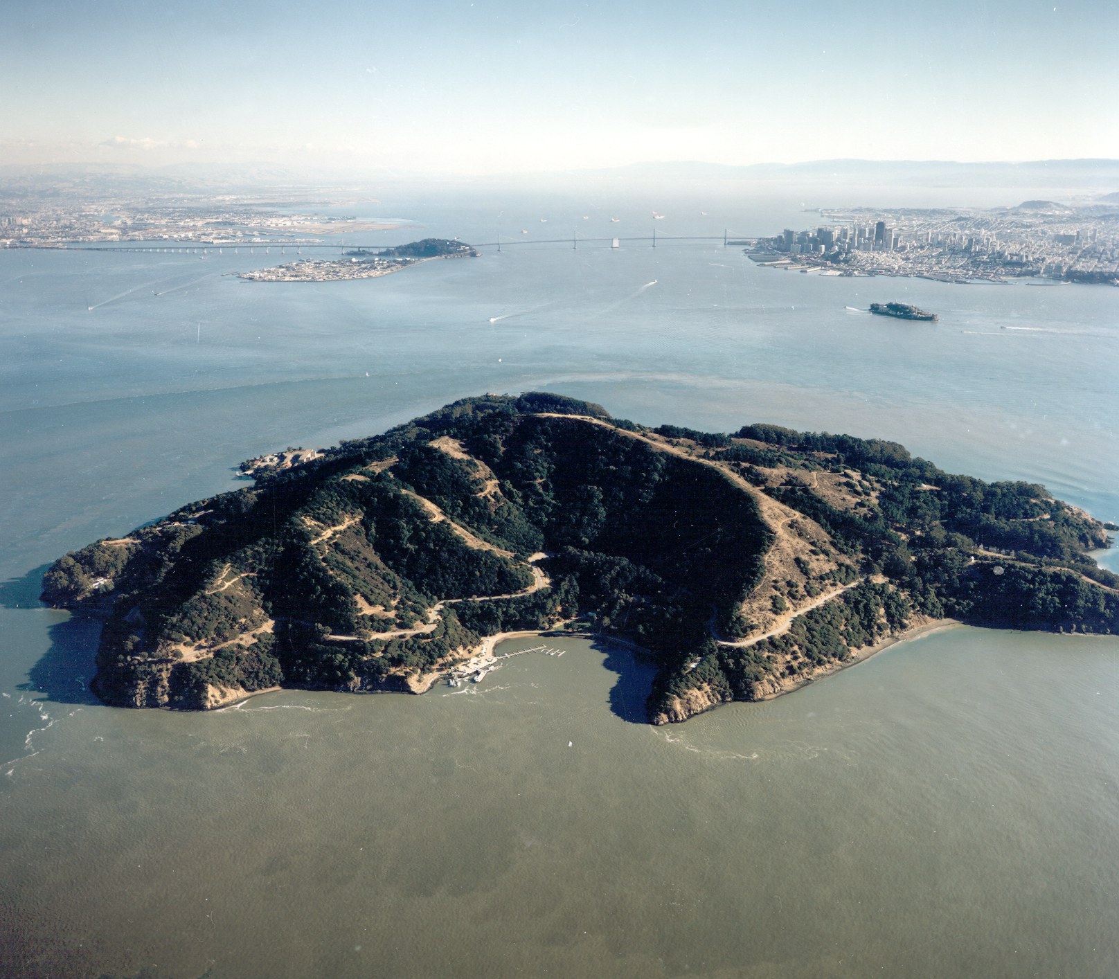 RoundTrip Angel Island A Devil of a Swim · Evan Morrison On